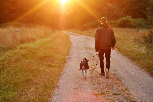 Partina City zanger lijn Een Zaklamp Bij Het Uitlaten Van Je Hond - Zaklampwinkel.com